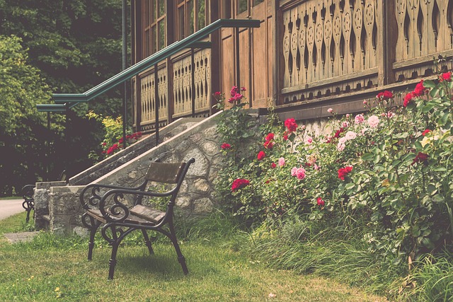 赛表演产业 赛表演产业