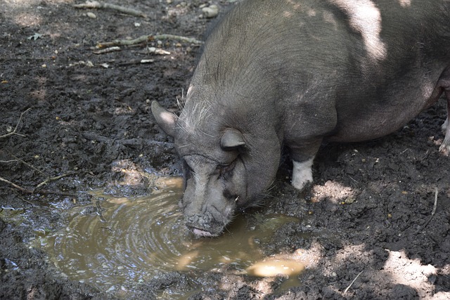 中7记三分 中7记三分