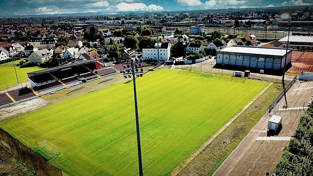 雖然這筆交 雖然這筆交